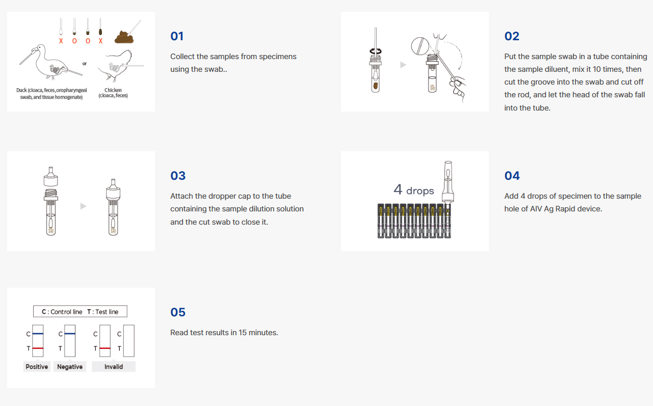 VDRG® AIV Ag Rapid kit 2.0