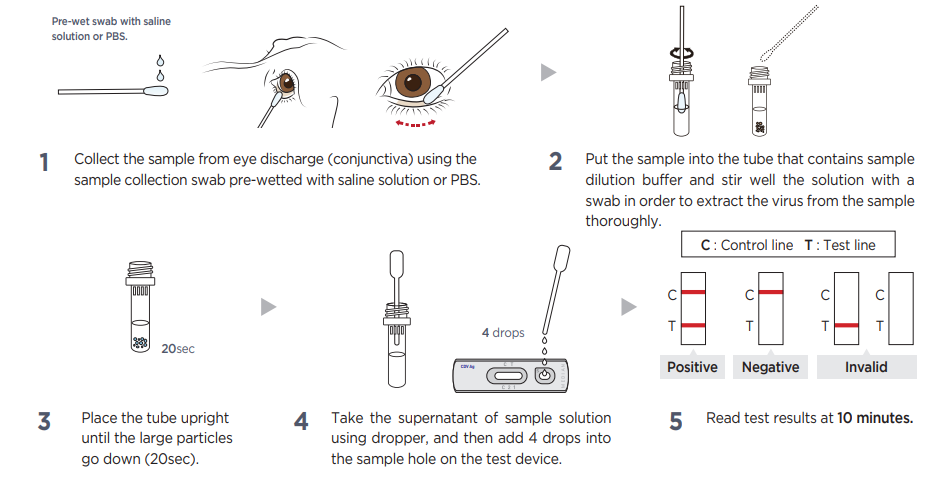 test procedure VDRG ® CDV Ag Rapid Kit