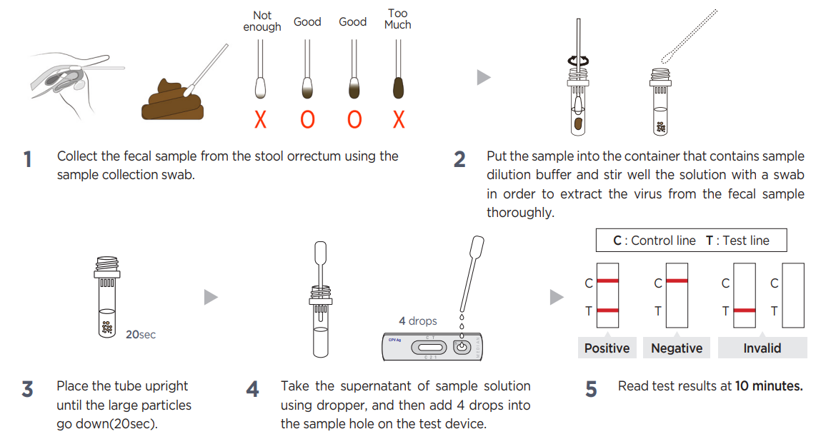 VDRG ® CPV Ag Rapid Kit