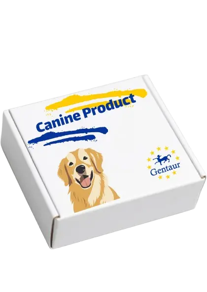 ELISA  Canine MCP-1(Monocyte Chemotactic Protein 1)  