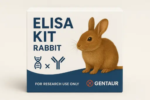 Rabbit CYP2A10 ELISA Kit