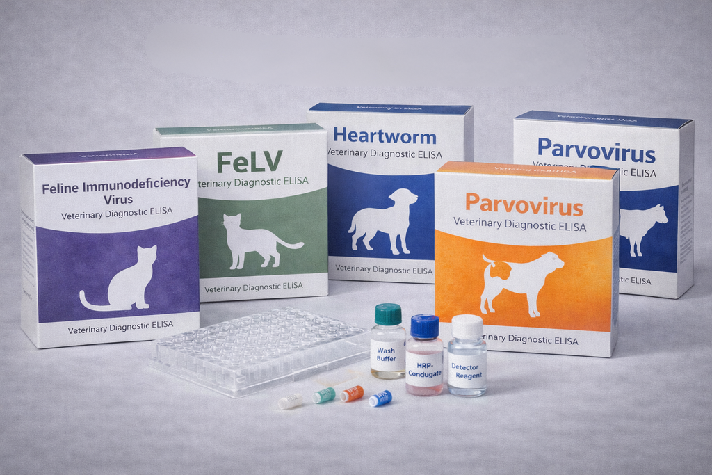 Feline Herpesvirus Antibody ELISA Kit